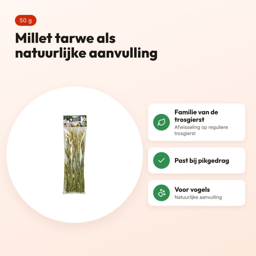 Back Zoo Nature millet tarwe 50 g – natuurlijke aanvulling voor vogels – voordelen
