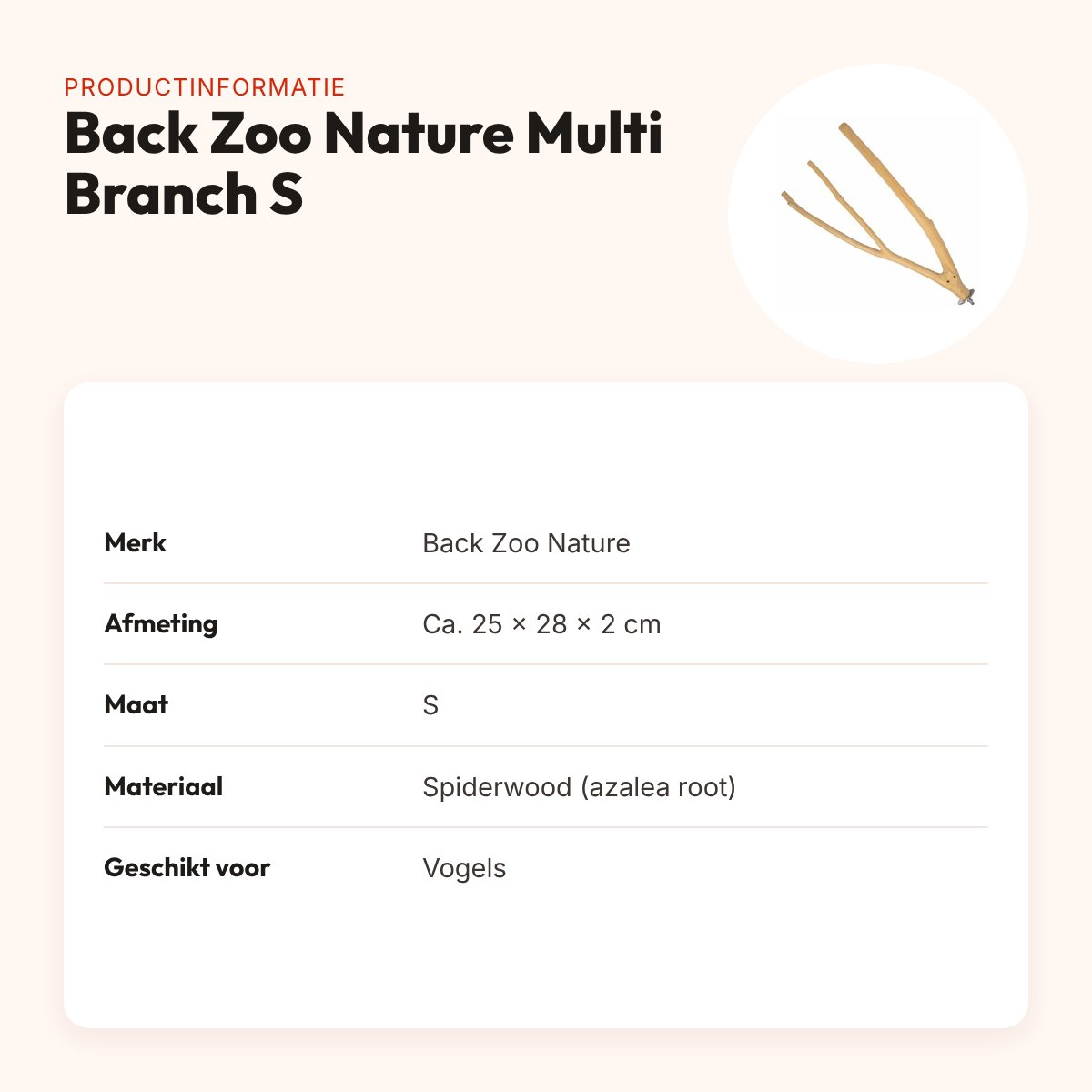 Back Zoo Nature zitstok spiderwood Multi Branch S 25 x 28 x 2 cm – productinformatie