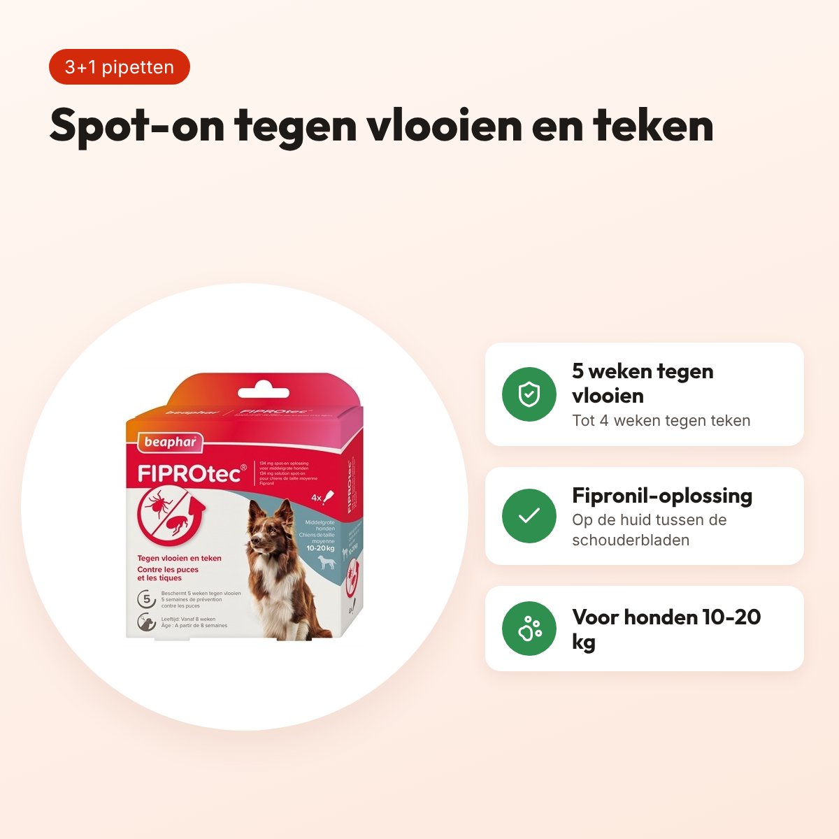 Beaphar Fiprotec spot-on hond 10-20 kg – vlooien en teken, 3+1 pipetten – voordelen