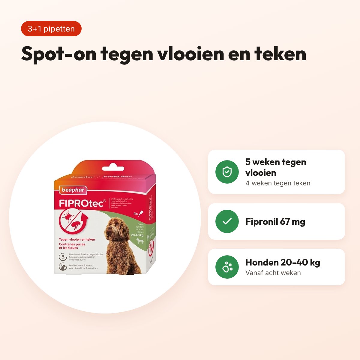 Beaphar Fiprotec spot-on hond 20-40 kg – vlooien en teken, 3+1 pipetten – voordelen