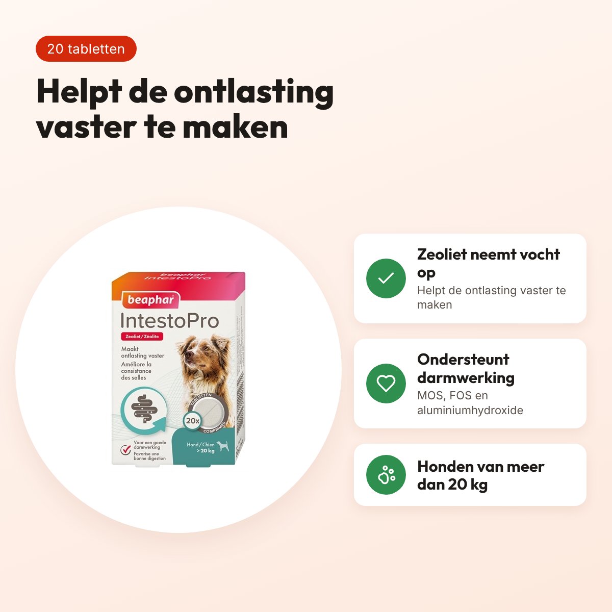 Beaphar Intestopro tabletten hond meer dan 20 kg – 20 tabletten – voordelen
