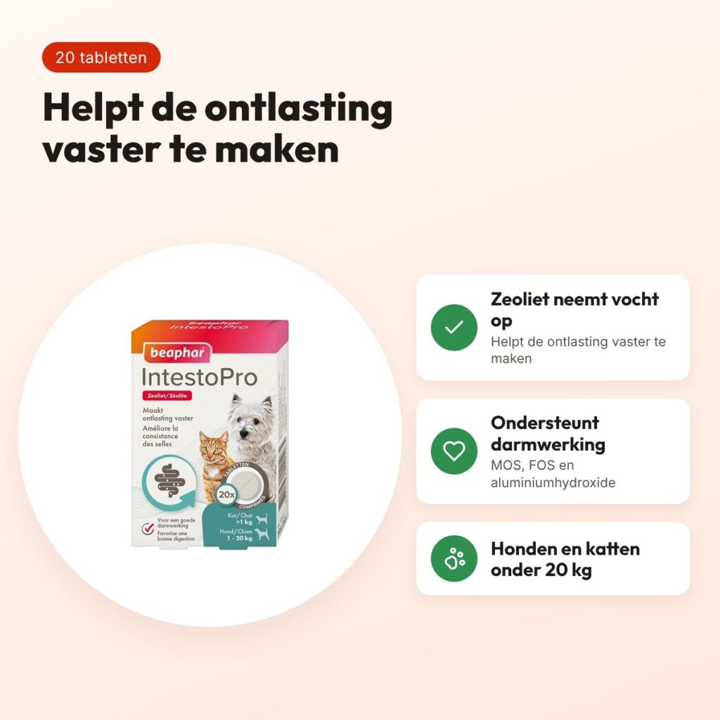 Beaphar Intestopro tabletten kat en hond minder dan 20 kg – 20 tabletten – voordelen