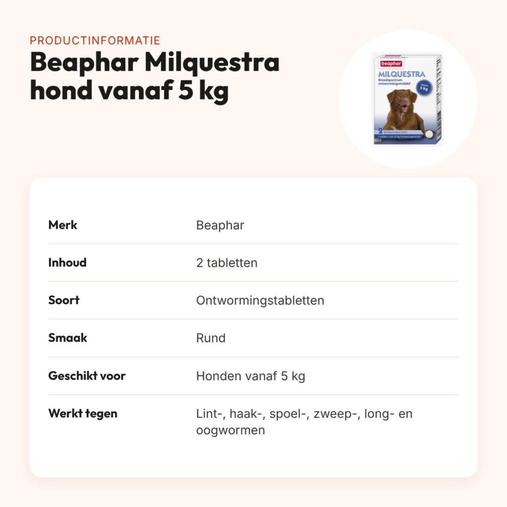 Beaphar Milquestra ontwormingstabletten hond vanaf 5 kg rundvlees – 2 stuks – productinformatie