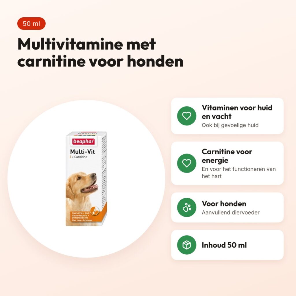 Beaphar Multi-Vit Laveta met carnitine hond 50 ml – voordelen
