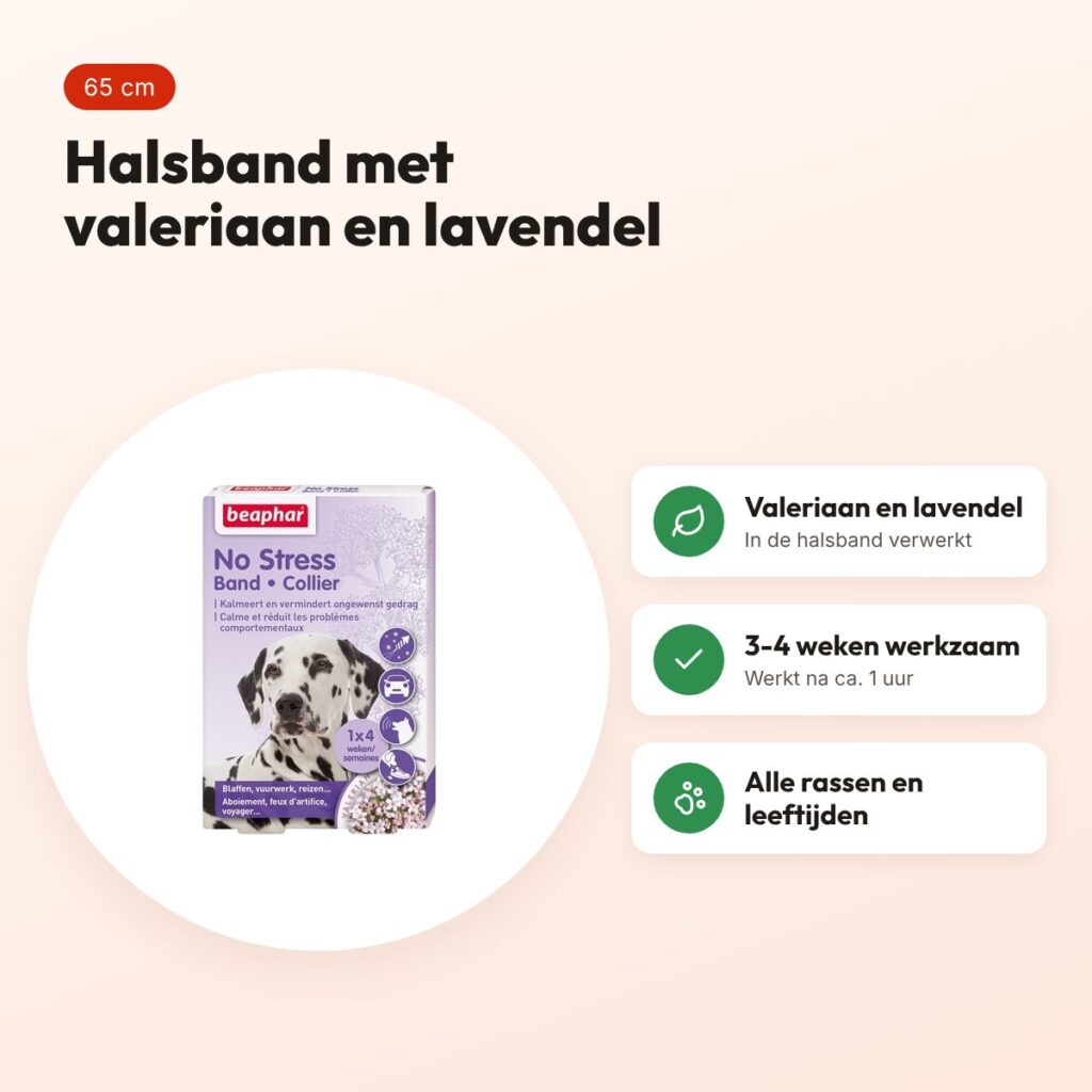 Beaphar No Stress halsband hond 65 cm – valeriaan en lavendel – voordelen