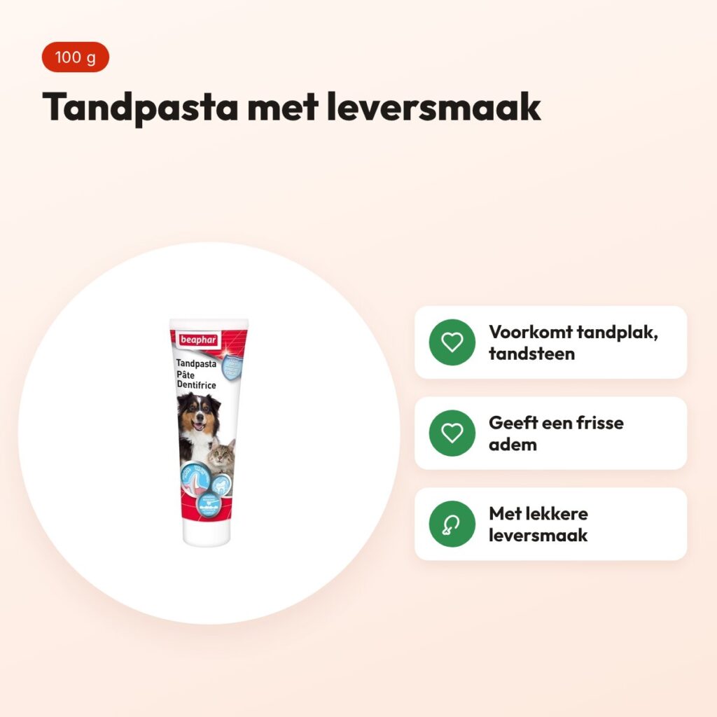 Beaphar tandpasta leversmaak 100 g – frisse adem voor honden – voordelen