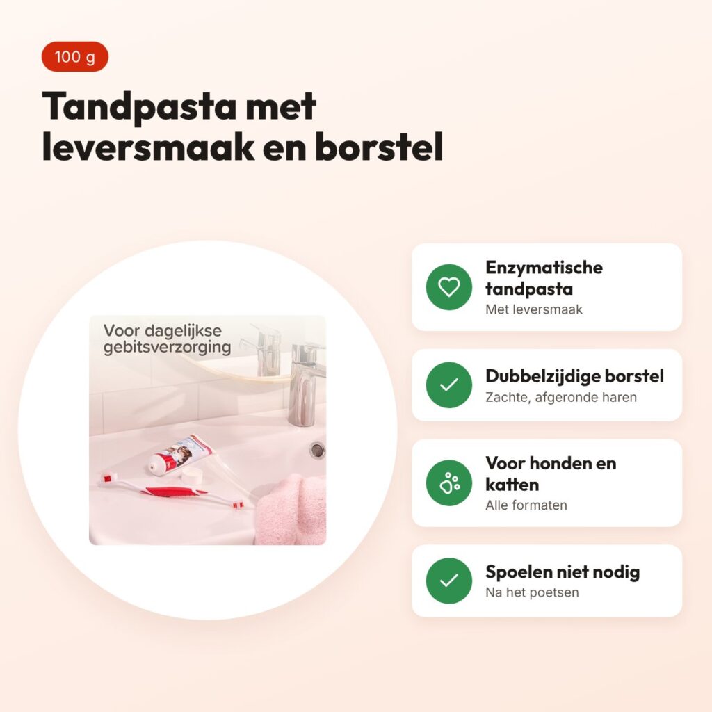 Beaphar tandpasta leversmaak combi-pack met borstel – hond en kat – voordelen