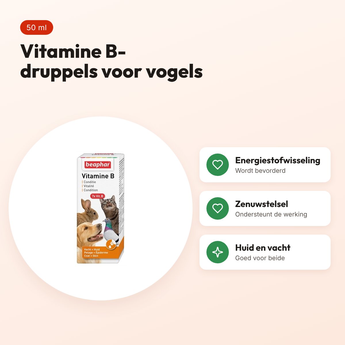 Beaphar vitamine B voor vogels 50 ml – druppels – voordelen