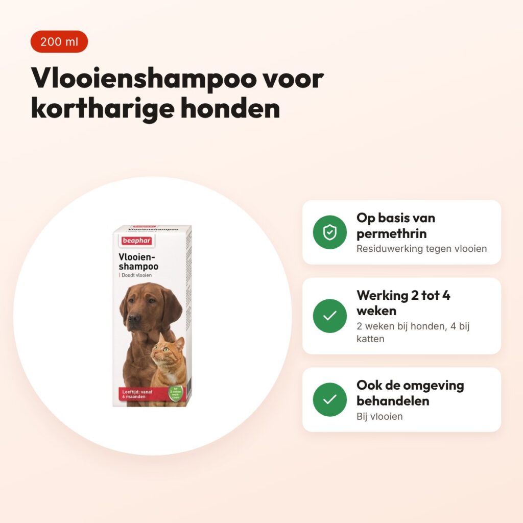 Beaphar vlooienshampoo hond en kat 200 ml – voor kortharige honden – voordelen