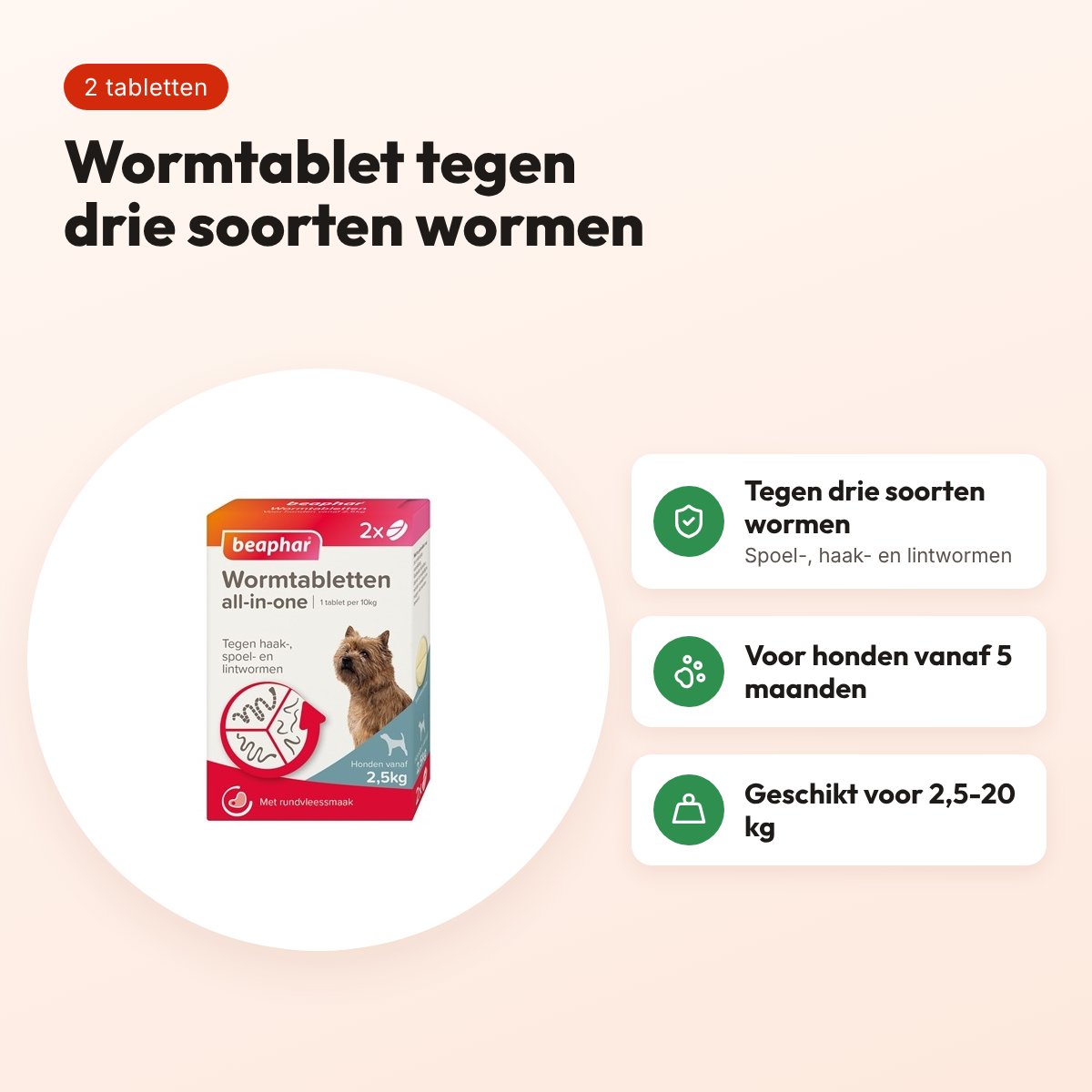 Beaphar wormtablet All-in-One hond 2,5-20 kg – 2 tabletten – voordelen