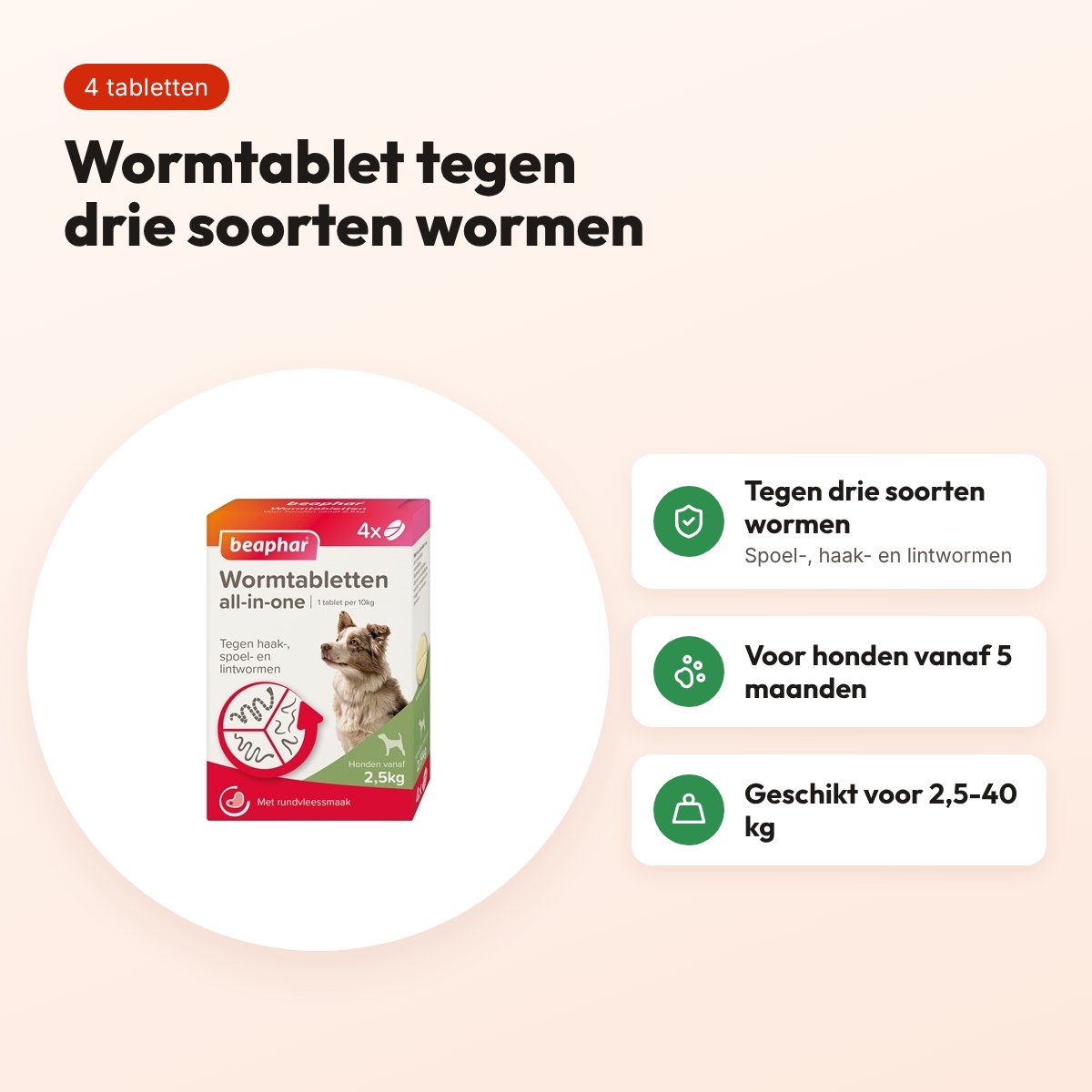 Beaphar wormtablet All-in-One hond 2,5-40 kg – 4 tabletten – voordelen