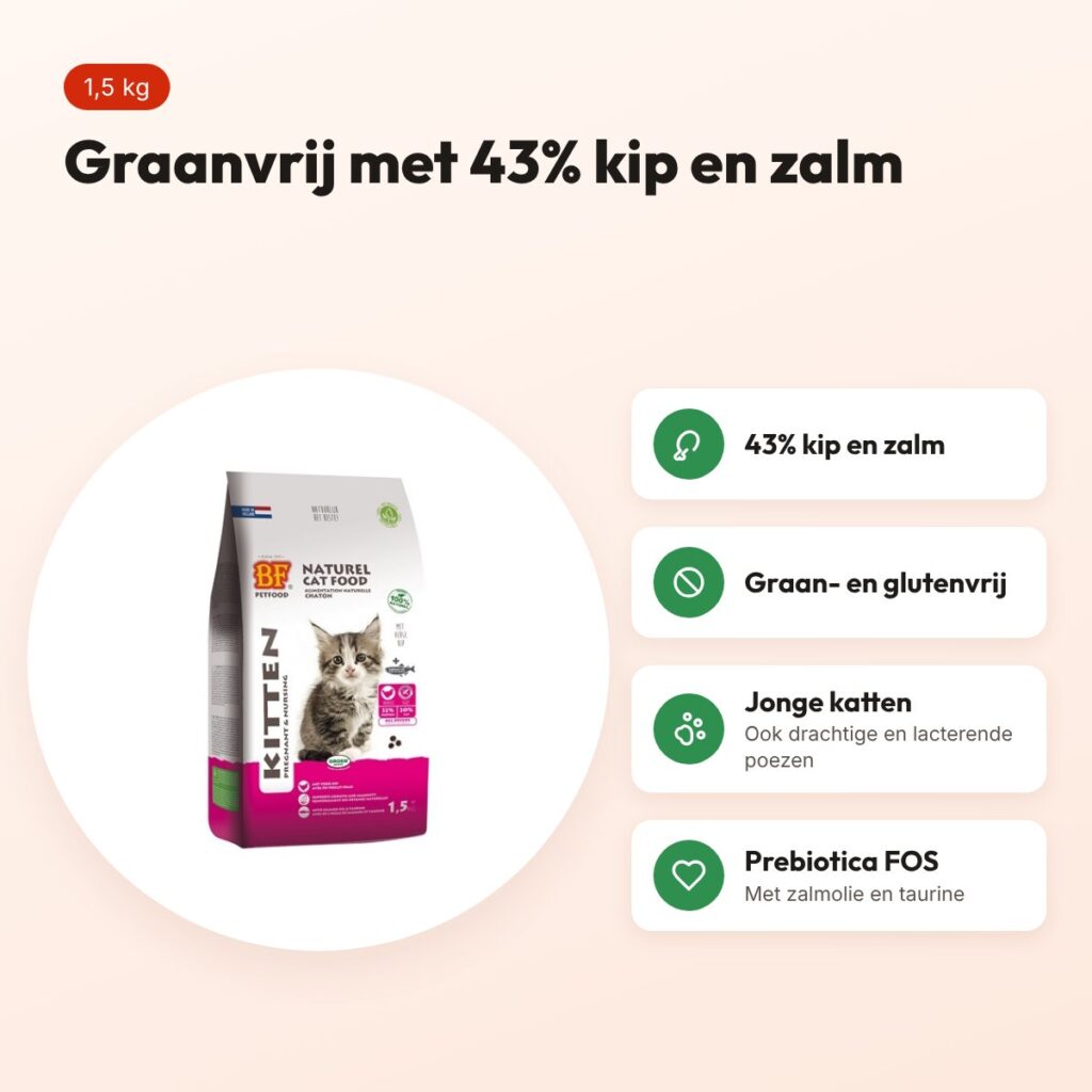 BF Petfood kattenvoer Kitten Pregnant/Nursing 1,5 kg – graanvrij – voordelen