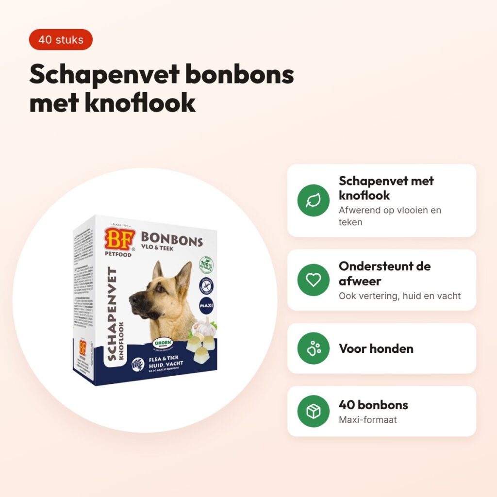 BF Petfood schapenvet bonbons Maxi knoflook 40 stuks – voor honden – voordelen