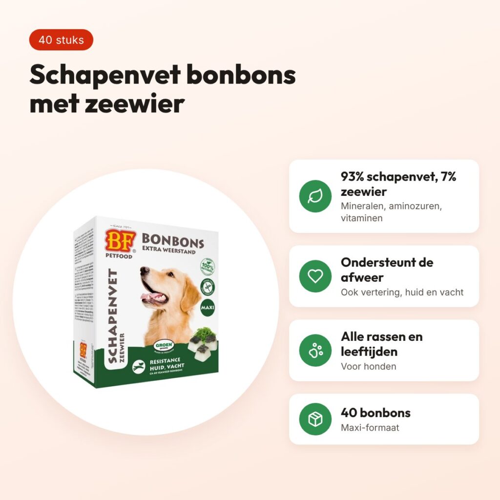 BF Petfood schapenvet bonbons Maxi zeewier 40 stuks – voor honden – voordelen