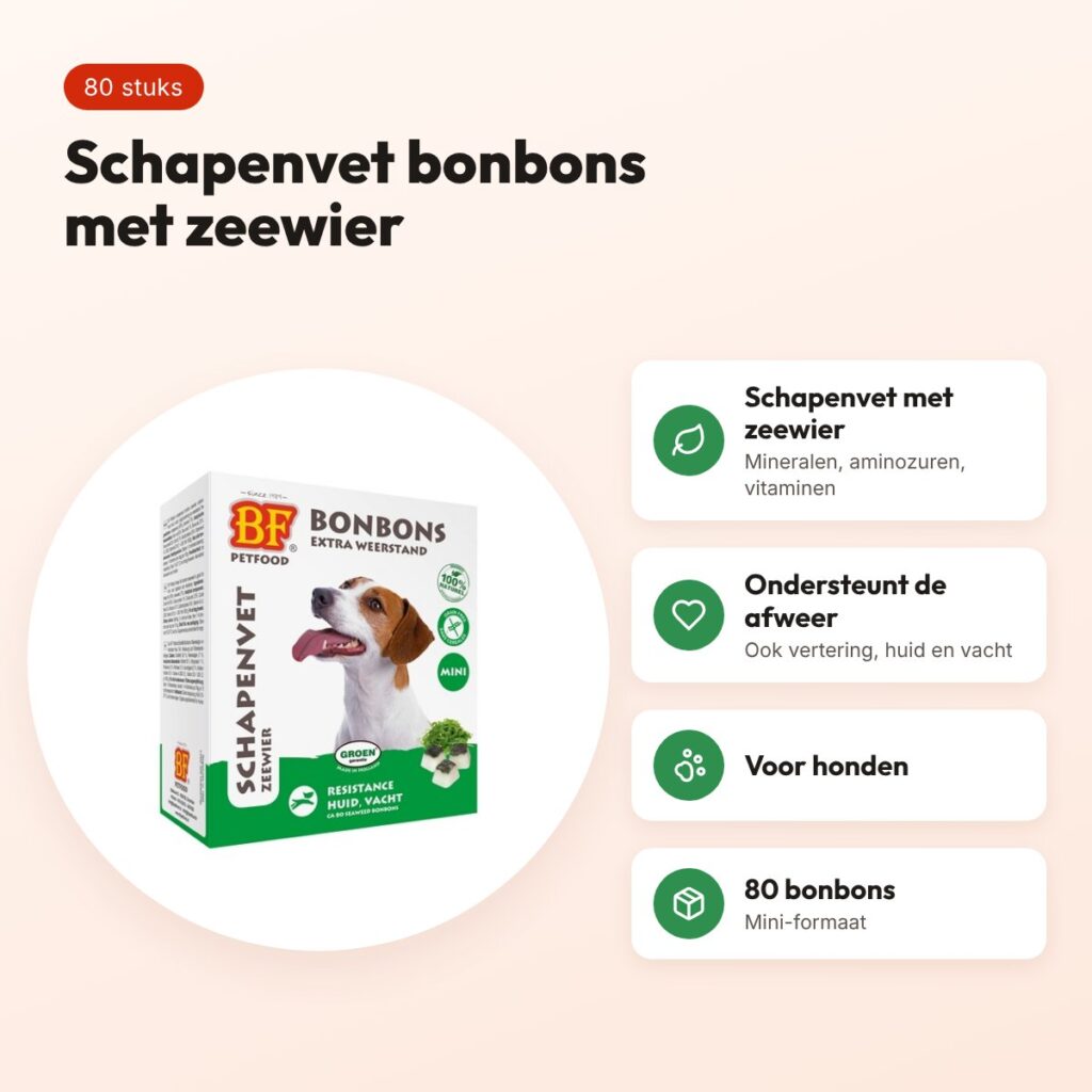 BF Petfood schapenvet bonbons Mini zeewier 80 stuks – voor honden – voordelen