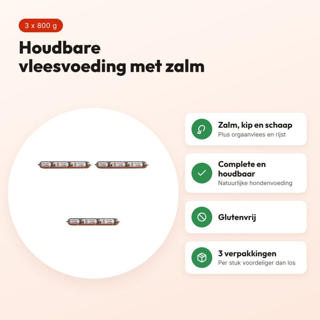 BF Petfood vleesvoeding zalm houdbaar hondenvoer 800 g – multipack 3 stuks – voordelen