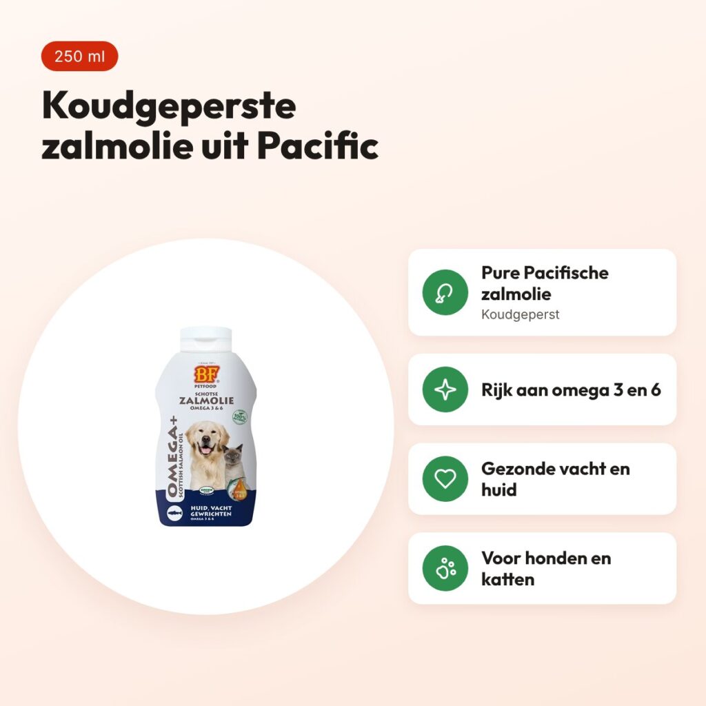 BF Petfood zalmolie 250 ml – koudgeperst, voor hond en kat – voordelen