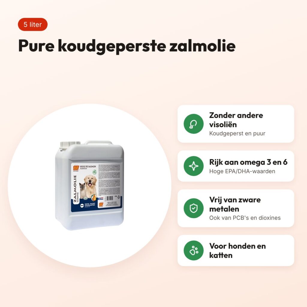 BF Petfood zalmolie 5 liter – koudgeperst, voor honden en katten – voordelen