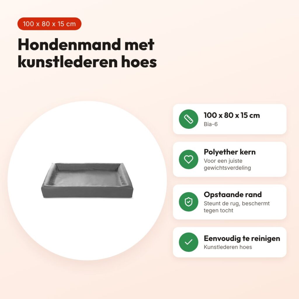 Bia Bed hondenmand grijs 100 x 80 x 15 cm – opstaande rand, maat 6 – voordelen