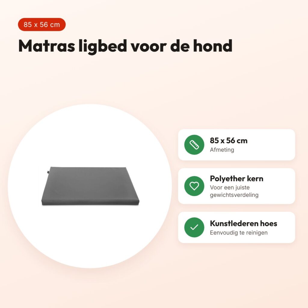 Bia Bed matras ligbed grijs 85 x 56 cm – polyether kern – voordelen
