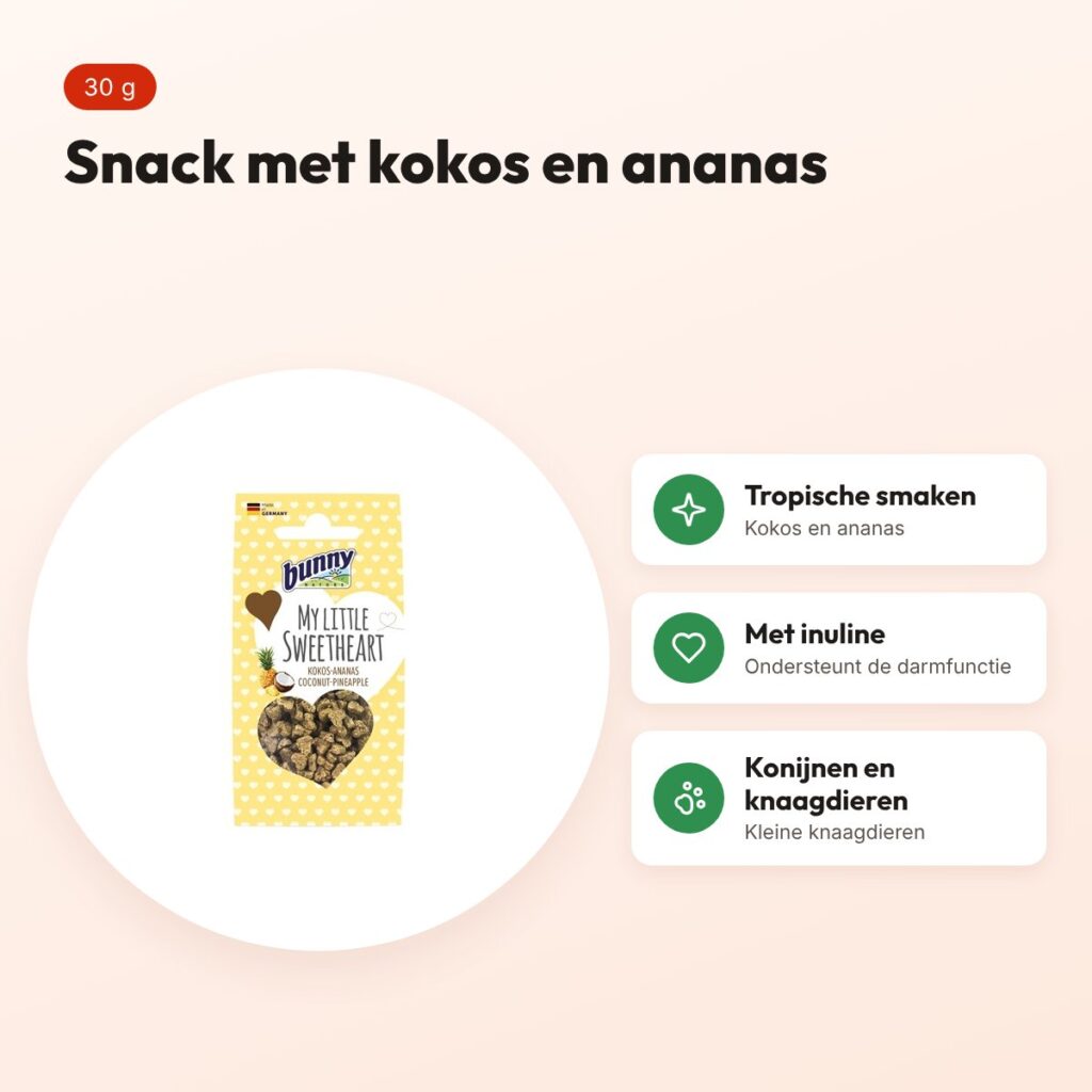 Bunny Nature My Little Sweetheart snack kokos en ananas 30 g – knaagdieren – voordelen