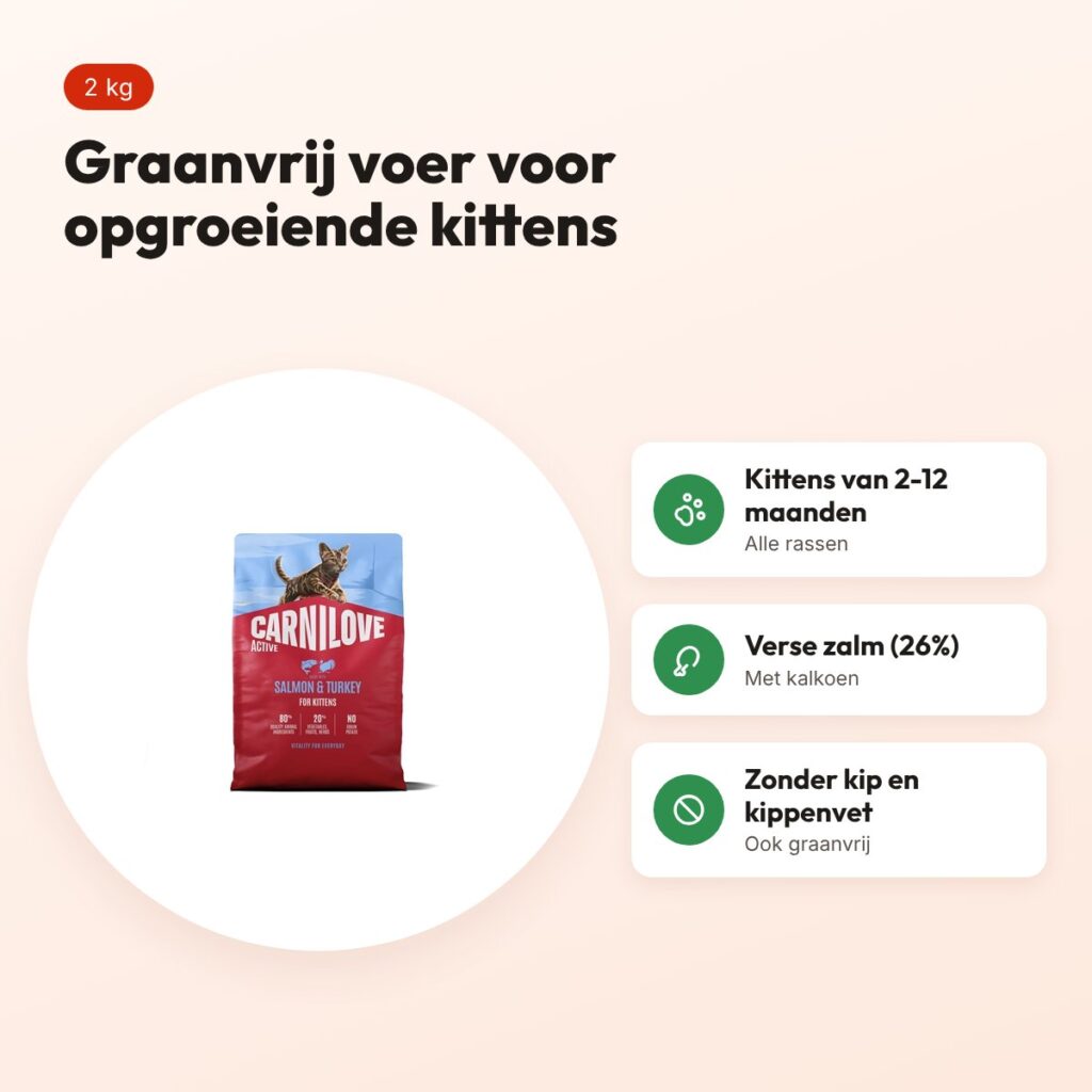 Carnilove kittenvoer Active Kitten zalm en kalkoen 2 kg – graanvrij – voordelen