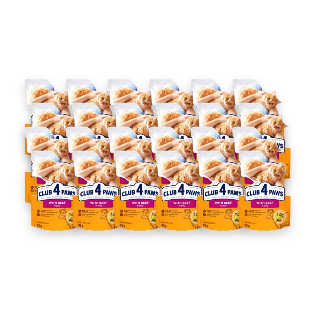 Club 4 Paws kattenvoer Premium Adult rundvlees in gelei 24 x 85 g