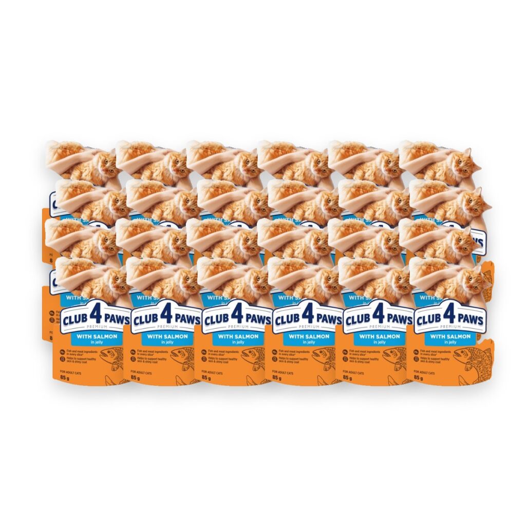 Club 4 Paws kattenvoer Premium Adult zalm in gelei 24 x 85 g