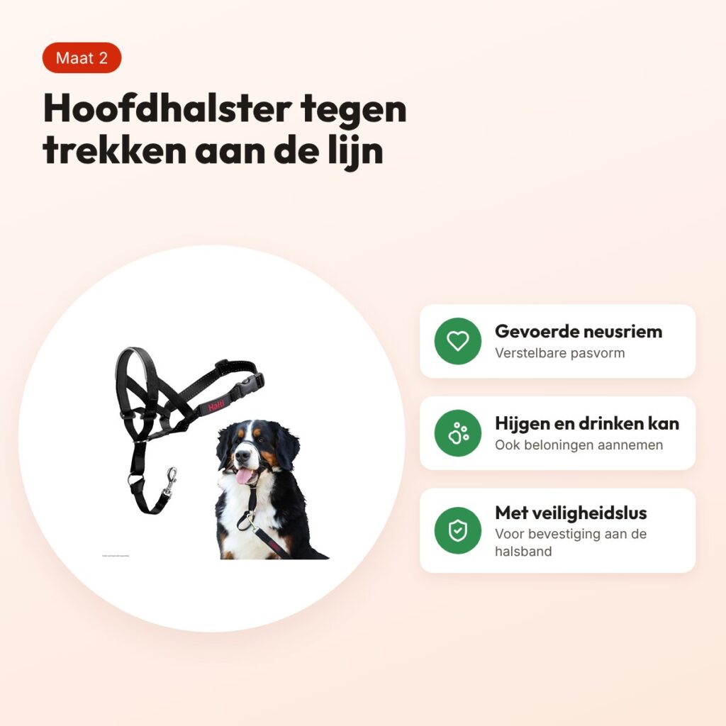 Company of Animals Halti headcollar zwart nr. 2 – tegen trekken – voordelen