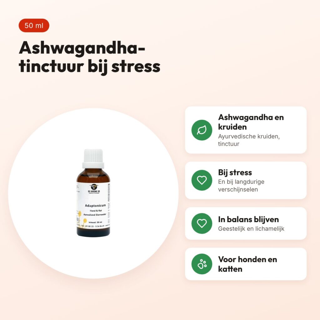 De Groene Os Adaptonicum 50 ml – ashwagandha, hond en kat – voordelen