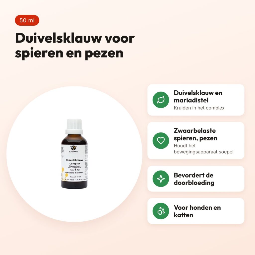 De Groene Os Duivelsklauw Complex 50 ml – bewegingsapparaat, hond en kat – voordelen