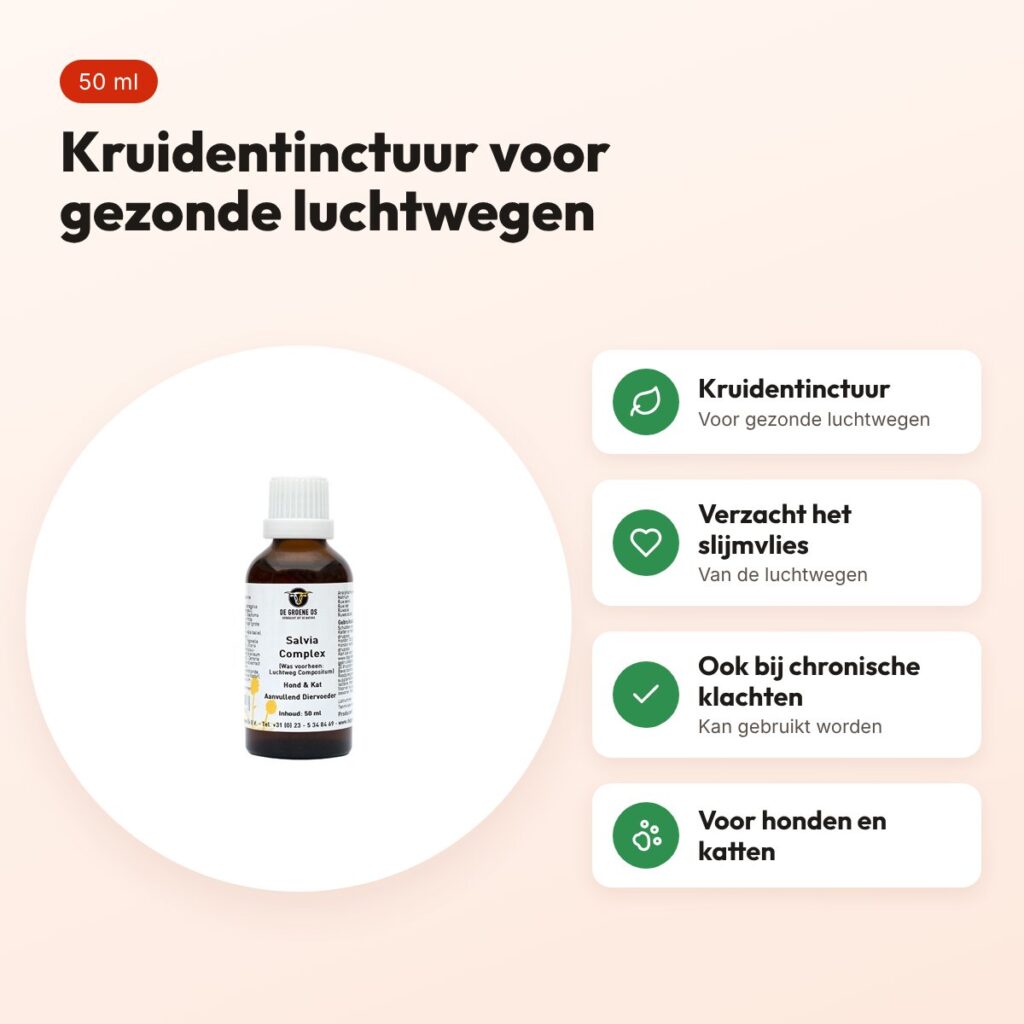 De Groene Os Salvia Complex 50 ml – luchtwegen, hond en kat – voordelen