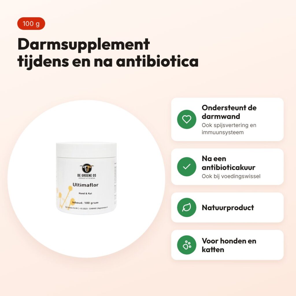 De Groene Os Ultimaflor 100 g – darmsupplement hond en kat – voordelen
