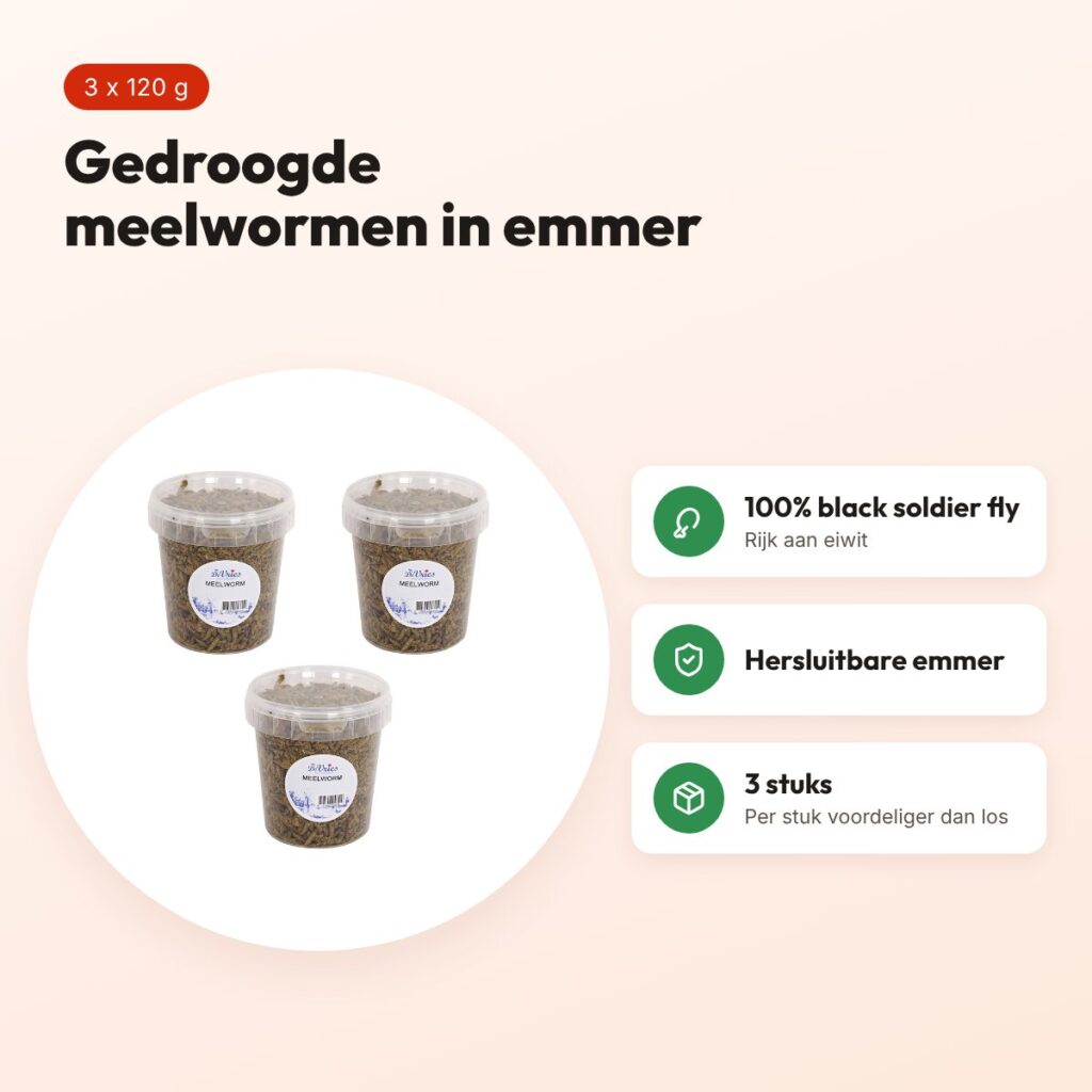 De Vries Black Soldier Fly meelwormen 120 g (870 ml) – multipack 3 stuks – voordelen
