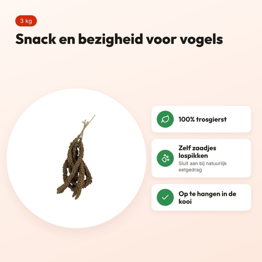 De Vries snoep trosgierst 3 kg – voor parkieten en tropische vogels – voordelen