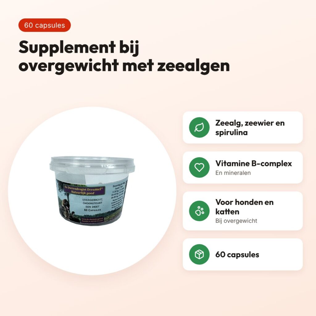 Dierendrogist bij overgewicht capsules 60 stuks – hond en kat – voordelen