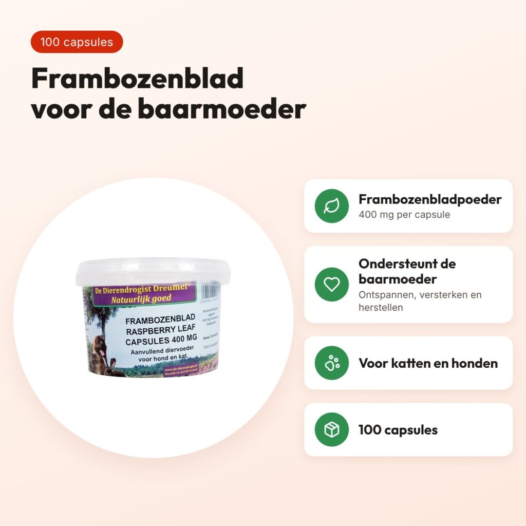 Dierendrogist frambozenblad capsules 400 mg 100 stuks – hond en kat – voordelen
