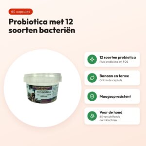 Dierendrogist probiotica capsules 60 stuks – maagsapresistent, hond – voordelen