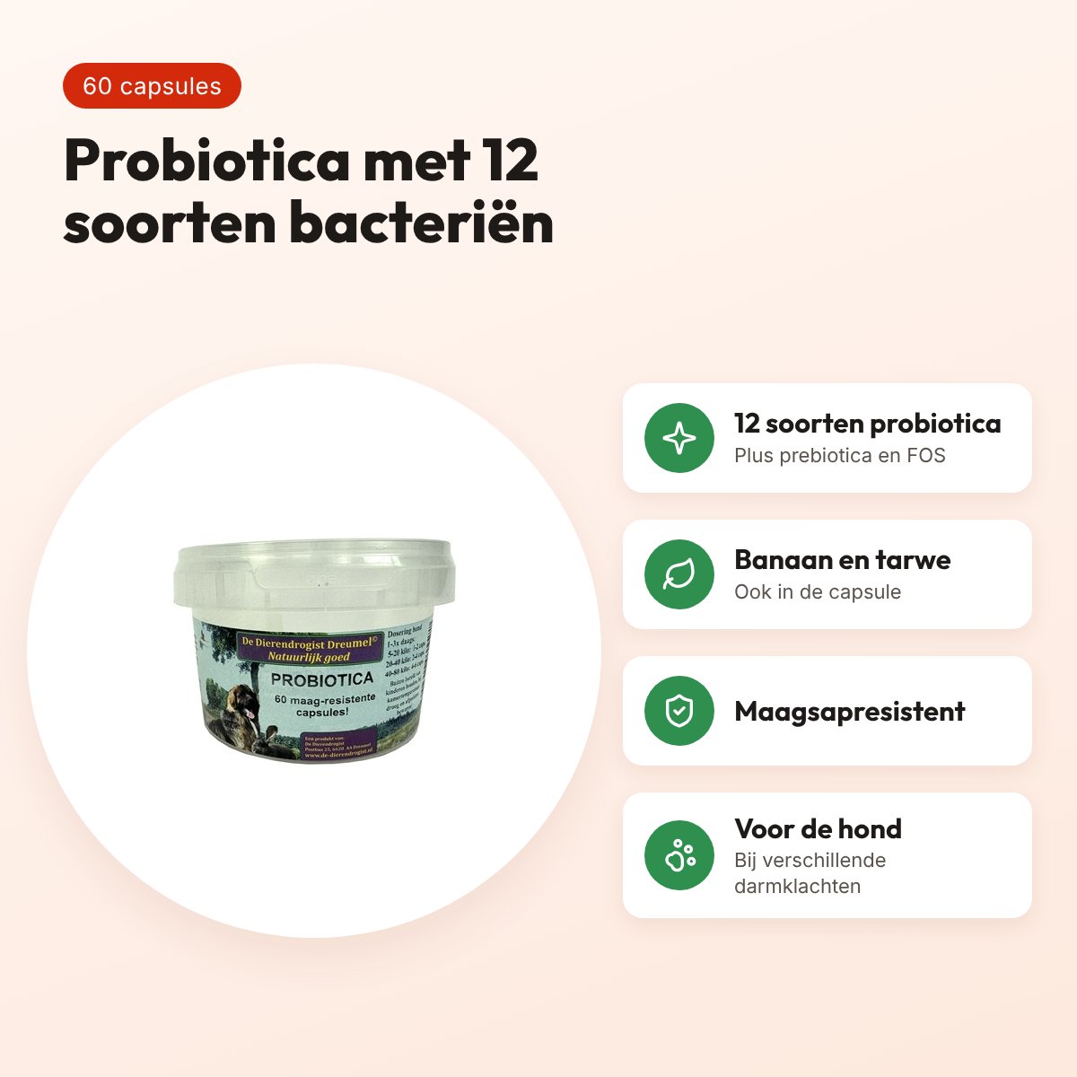 Dierendrogist probiotica capsules 60 stuks – maagsapresistent, hond – voordelen