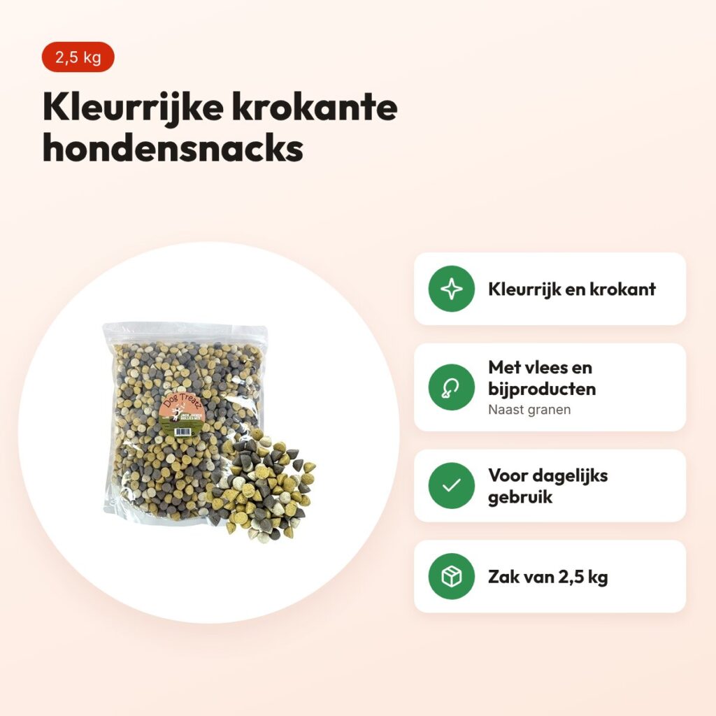Dog Treatz Jack Jacker Rollies 2,5 kg – kleurrijke, krokante hondensnacks – voordelen