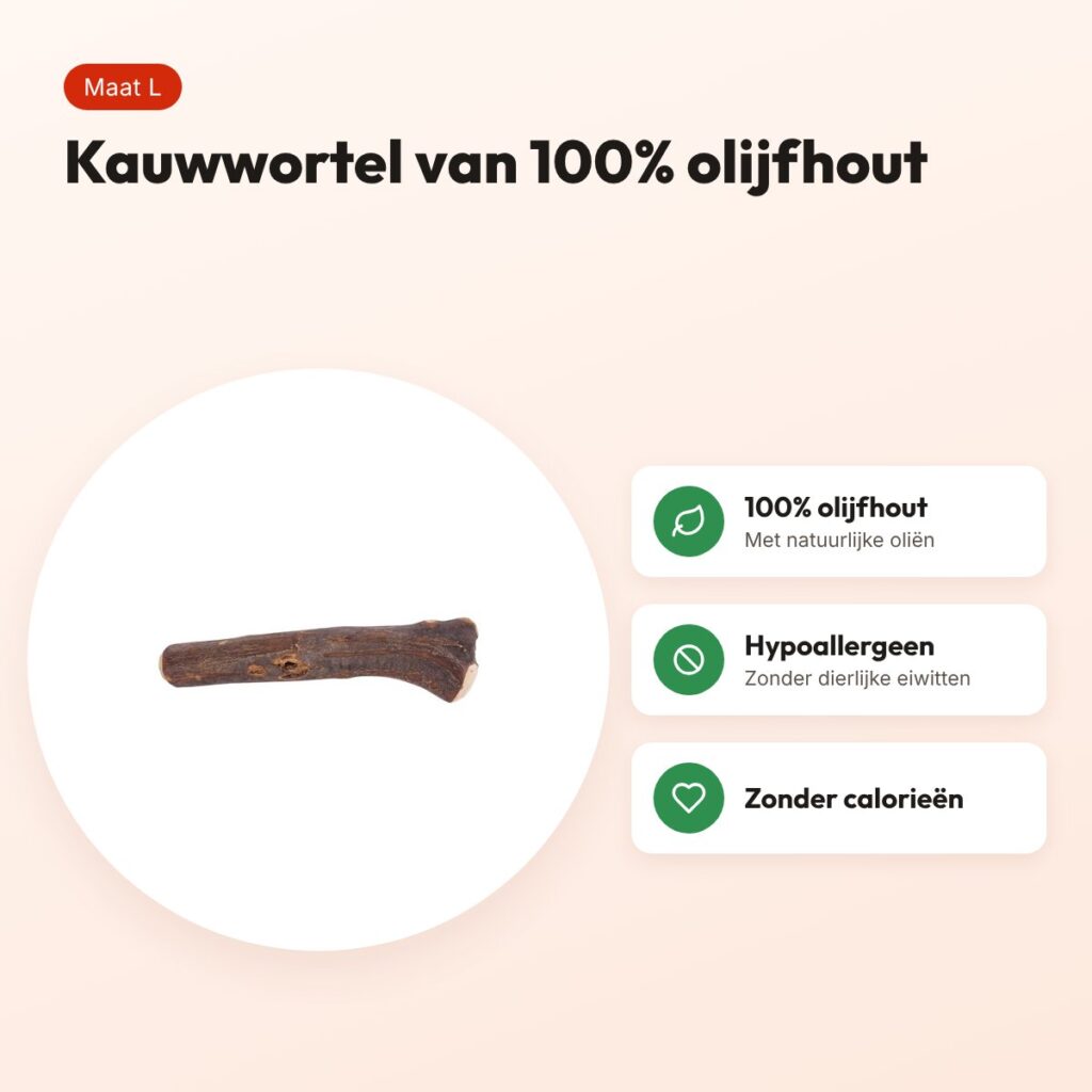 Dog Woodzzz kauwwortel olijfhout L – hypoallergeen, 100% olijfhout – voordelen