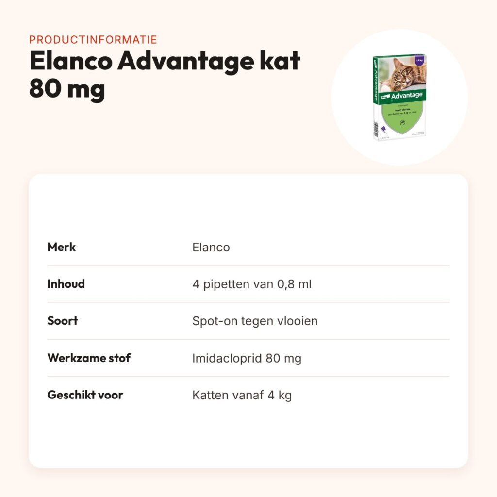 Elanco Advantage kat 80 mg spot-on 4 pipetten – katten vanaf 4 kg – productinformatie