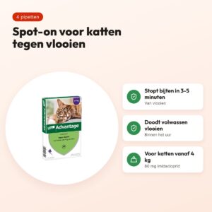 Elanco Advantage kat 80 mg spot-on 4 pipetten – katten vanaf 4 kg – voordelen