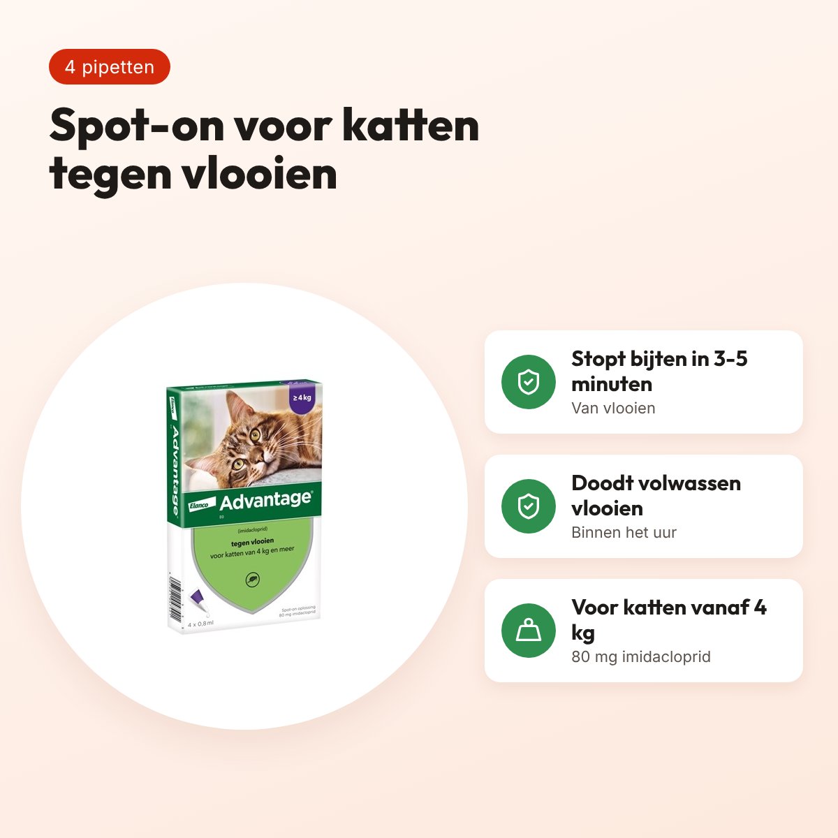 Elanco Advantage kat 80 mg spot-on 4 pipetten – katten vanaf 4 kg – voordelen