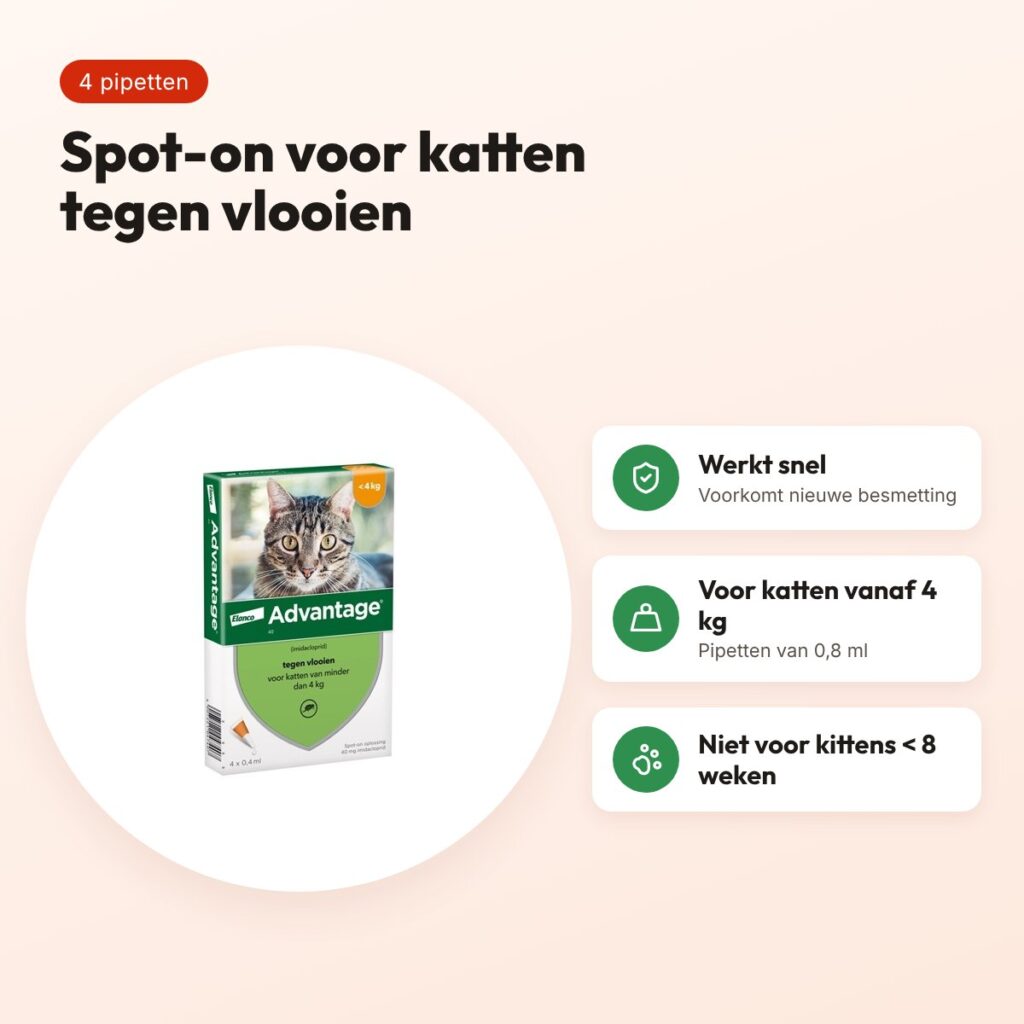 Elanco Advantage spot-on kat vanaf 4 kg 0,8 ml – 4 pipetten – voordelen