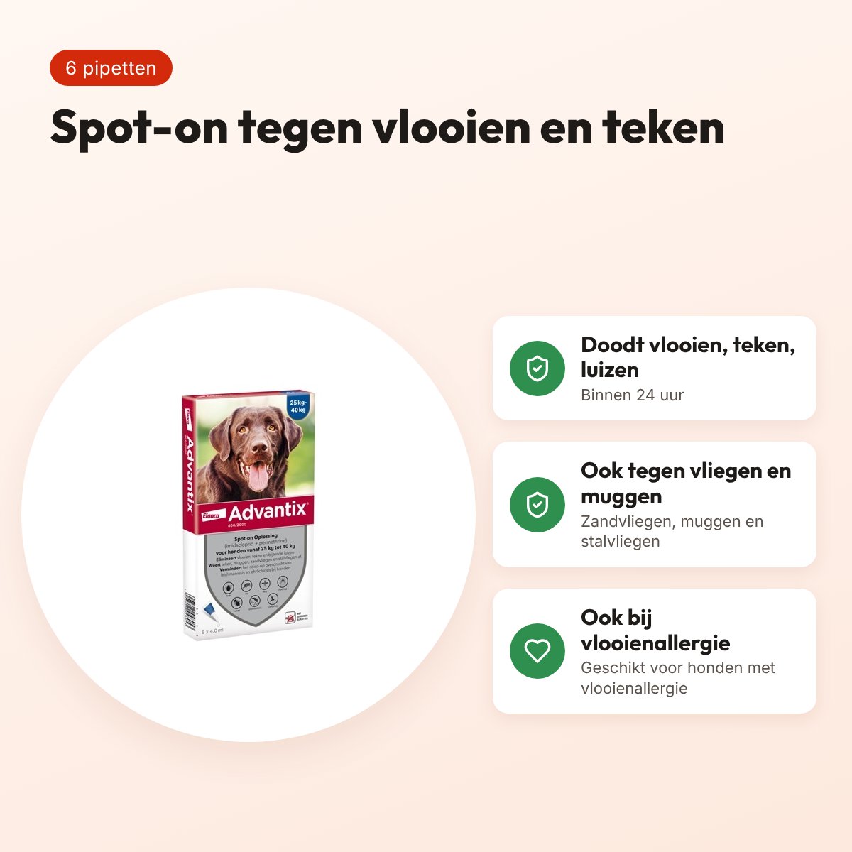Elanco Advantix spot-on hond 25-40 kg – 6 pipetten van 4 ml – voordelen