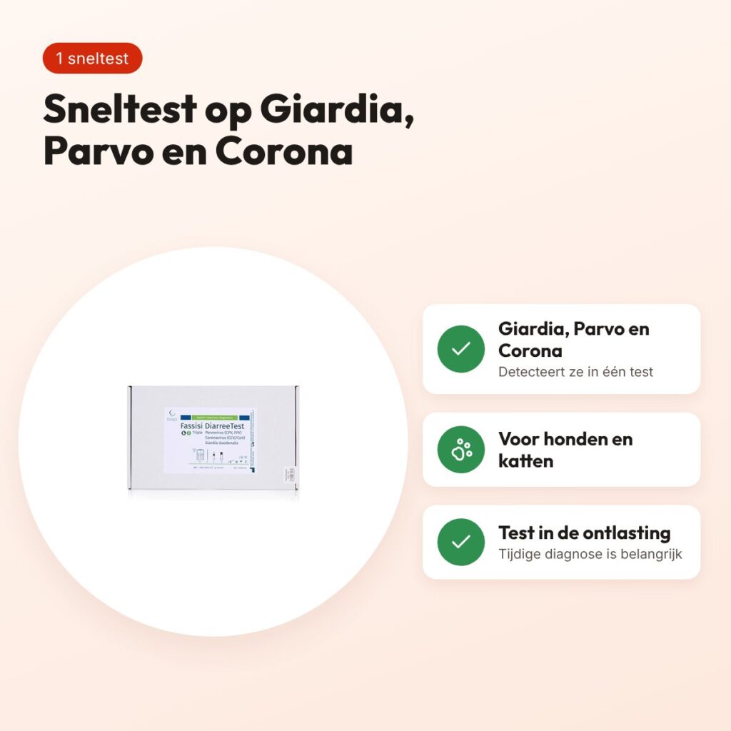 Fassisi sneltest diarree triple Parvo, Corona en Giardia – voor hond en kat – voordelen