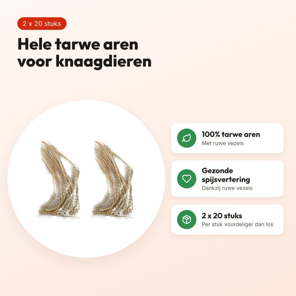 Hele tarwe aren knaagdiersnack 20 stuks – multipack 2 stuks – voordelen