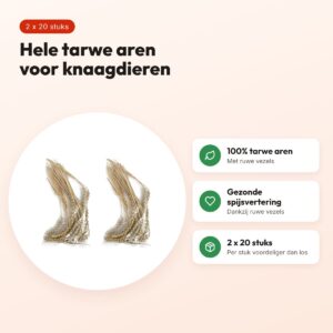 Hele tarwe aren knaagdiersnack 20 stuks – multipack 2 stuks – voordelen
