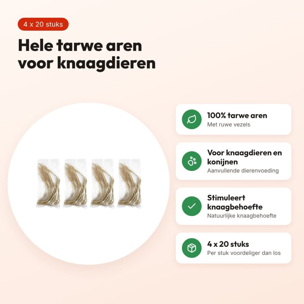 Hele tarwe aren knaagdiersnack – multipack 4 x 20 stuks – voordelen
